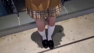 91视频在看,成人视频高清免费观看